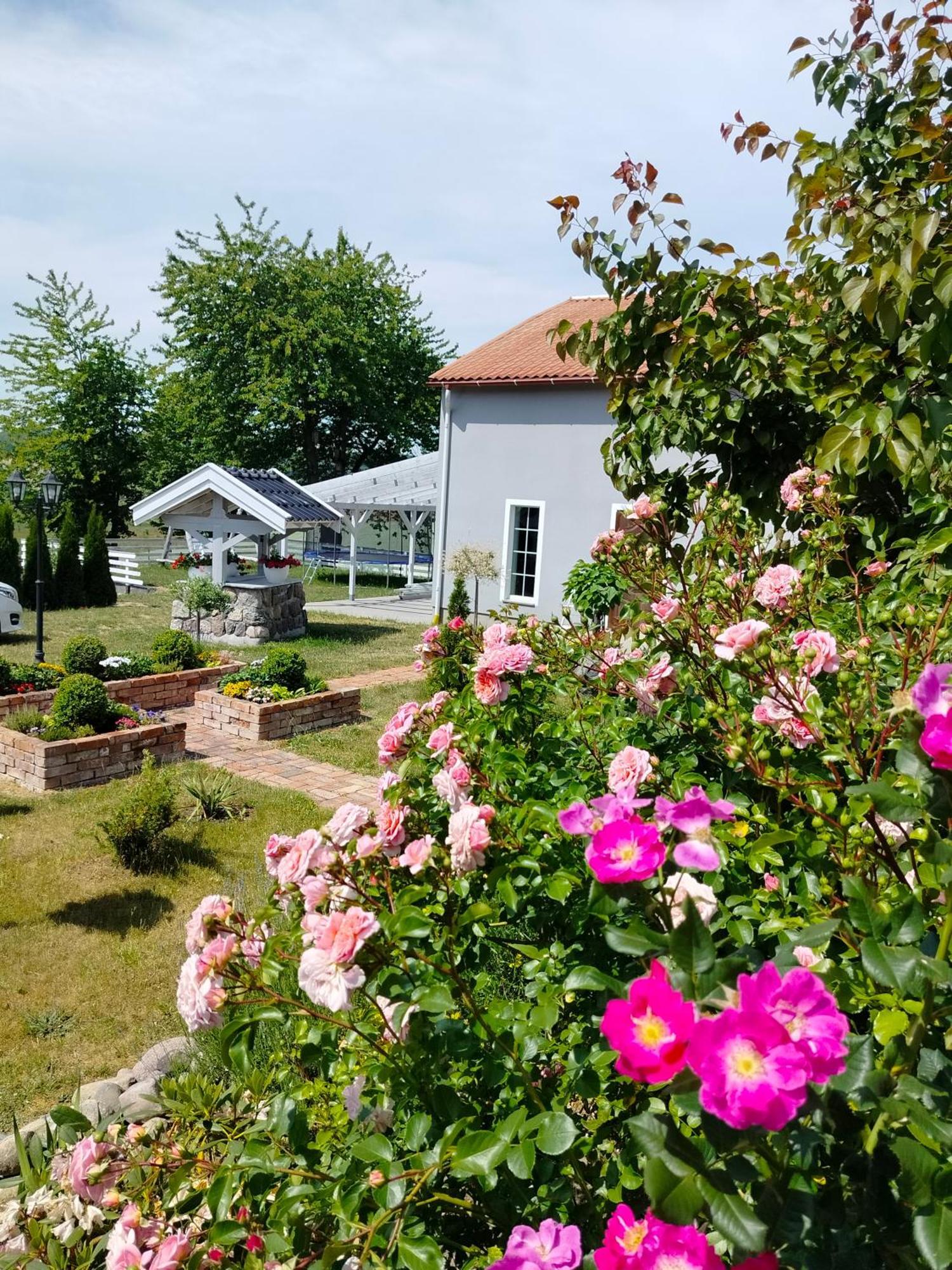 Agroturystyka Rybno Rybno (Wejherowo) Exterior foto
